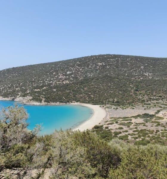 Η περιοχή της επένδυσης της Grivalia Hospitality στους Πεταλιούς - Πηγή: Grivalia Hospitality