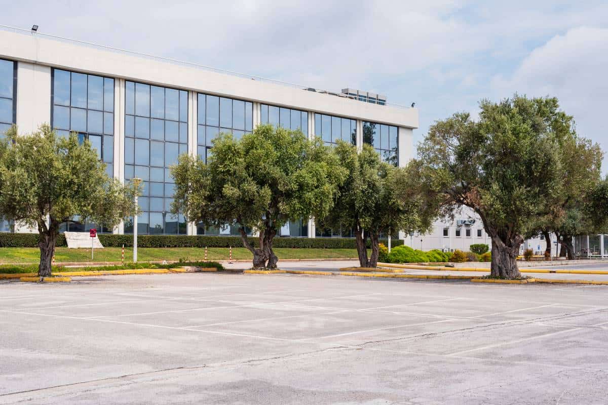 Paiania Campus - Πηγή: Europe Holdings